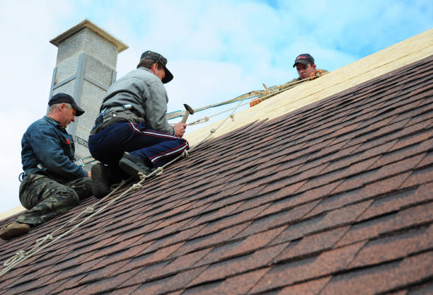 Best Storm Damage Roof Repair  in Kearny, AZ
